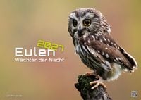 Produktbild: Eulen - W&auml;chter der Nacht - 2027 - Kalender DIN A3