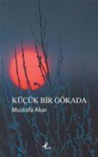 Produktbild: K&uuml;c&uuml;k Bir G&ouml;kada