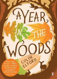 Produktbild: A Year in the Woods
