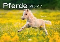 Produktbild: Pferde Kalender 2027 Wandkalender