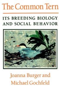 Produktbild: The Common Tern