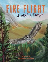 Produktbild: Fire Flight
