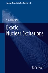 Bild vom Artikel Exotic Nuclear Excitations vom Autor S.C. Pancholi