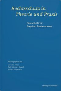 Produktbild: Rechtsschutz in Theorie und Praxis
