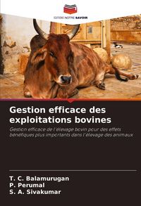 Produktbild: Gestion efficace des exploitations bovines