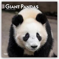 Produktbild: Giant Pandas &ndash; Gro&szlig;er Panda &ndash; Pandab&auml;ren 2027 &ndash; 16-Monatskalender