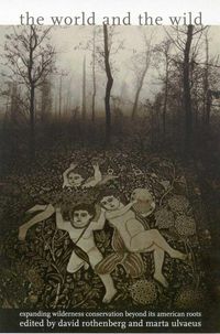 Produktbild: The World and the Wild