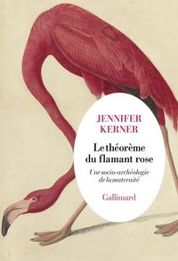 Produktbild: Le th&eacute;or&egrave;me du flamant rose : une socio-arch&eacute;ologie de la maternit&eacute;