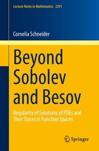 Produktbild: Beyond Sobolev and Besov