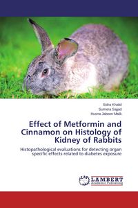 Produktbild: Effect of Metformin and Cinnamon on Histology of Kidney of Rabbits