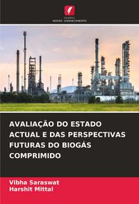 Produktbild: Avalia&ccedil;&atilde;o Do Estado Actual E das Perspectivas Futuras Do Biog&aacute;s Comprimido