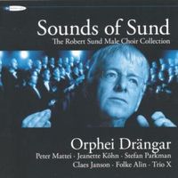 Bild vom Artikel The Sound Of Sund vom Autor Sund