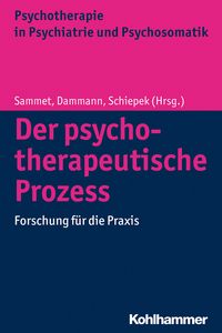 Produktbild: Der psychotherapeutische Prozess