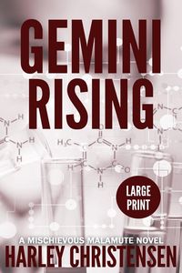 Produktbild: Gemini Rising
