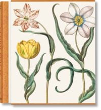 Produktbild: Basilius Besler. The Garden at Eichst&auml;tt