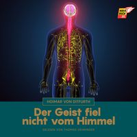 Produktbild: Der Geist fiel nicht vom Himmel