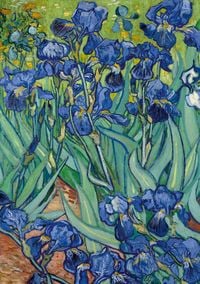Produktbild: Notizbuch A5 blanko Softcover - 100 Seiten - Motiv Schwertlilien (Irises) Vincent van Gogh - 90g/m&sup2; - Papier