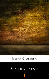 Produktbild: Szalony patnik