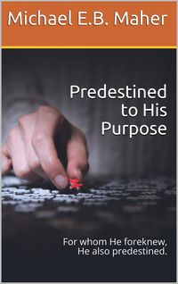 Produktbild: Predestined to His Purpose