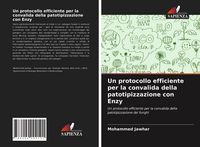 Produktbild: Un protocollo efficiente per la convalida della patotipizzazione con Enzy