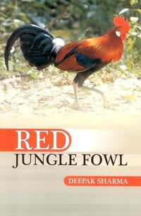 Produktbild: Red Jungle Fowl