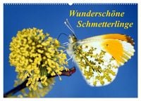 Produktbild: Wundersch&ouml;ne Schmetterlinge (Wandkalender 2026 DIN A2 quer), CALVENDO Monatskalender
