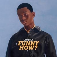 Produktbild: Funny How? (Gatefold)