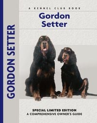 Produktbild: Gordon Setter