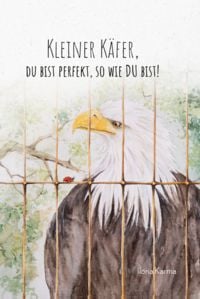 Produktbild: Kleiner K&auml;fer, du bist perfekt, so wie du bist!