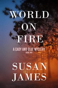 Produktbild: World on Fire (Cady and Blue Mystery, #2)
