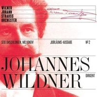 Bild vom Artikel Wildner, J: Seid umschlungen,Millionen! vom Autor Johann Strauss (Sohn)