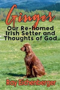 Produktbild: Ginger- Our Re-homed Irish Setter and Thoughts of God