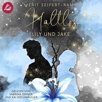 Produktbild: Haltlos - Lily und Jake