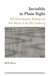 Produktbild: Invisible in Plain Sight
