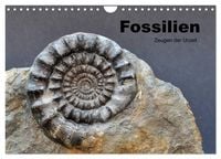 Produktbild: Fossilien - Zeugen der Urzeit (Wandkalender 2027 DIN A4 quer), CALVENDO Monatskalender