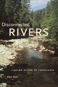 Produktbild: Disconnected Rivers
