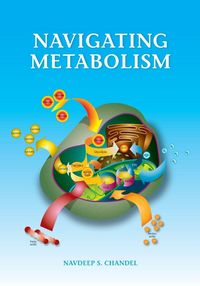Produktbild: Navigating Metabolism