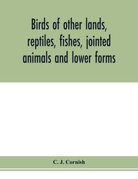 Produktbild: Birds of other lands, reptiles, fishes, jointed animals and lower forms
