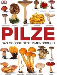 Produktbild: Pilze