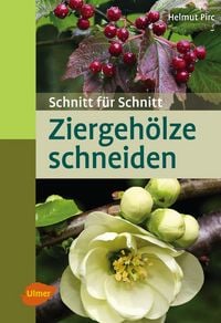 Produktbild: Ziergeh&ouml;lze schneiden