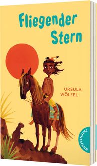 Produktbild: Fliegender Stern