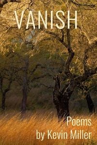 Produktbild: Vanish
