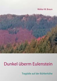 Bild vom Artikel Dunkel überm Eulenstein vom Autor Walter W. Braun