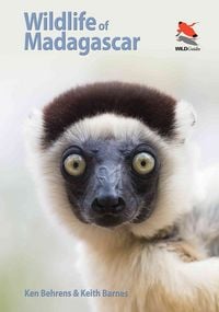 Produktbild: Wildlife of Madagascar