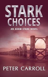 Produktbild: Stark Choices: An Adam Stark Novel