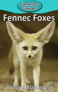 Produktbild: Fennec Foxes