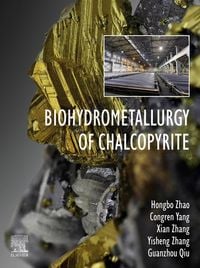 Produktbild: Biohydrometallurgy of Chalcopyrite