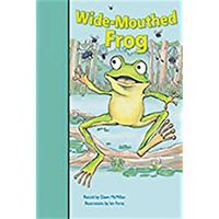 Produktbild: Wide-Mouthed Frog
