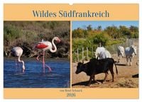 Produktbild: Wildes S&uuml;dfrankreich (Wandkalender 2026 DIN A2 quer), CALVENDO Monatskalender