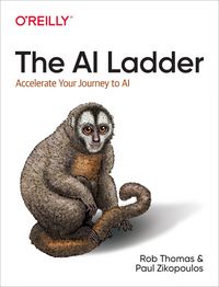 Produktbild: AI Ladder